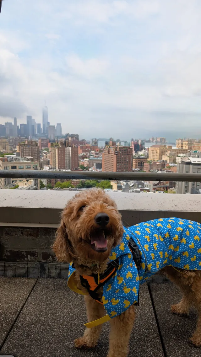 Google NYC